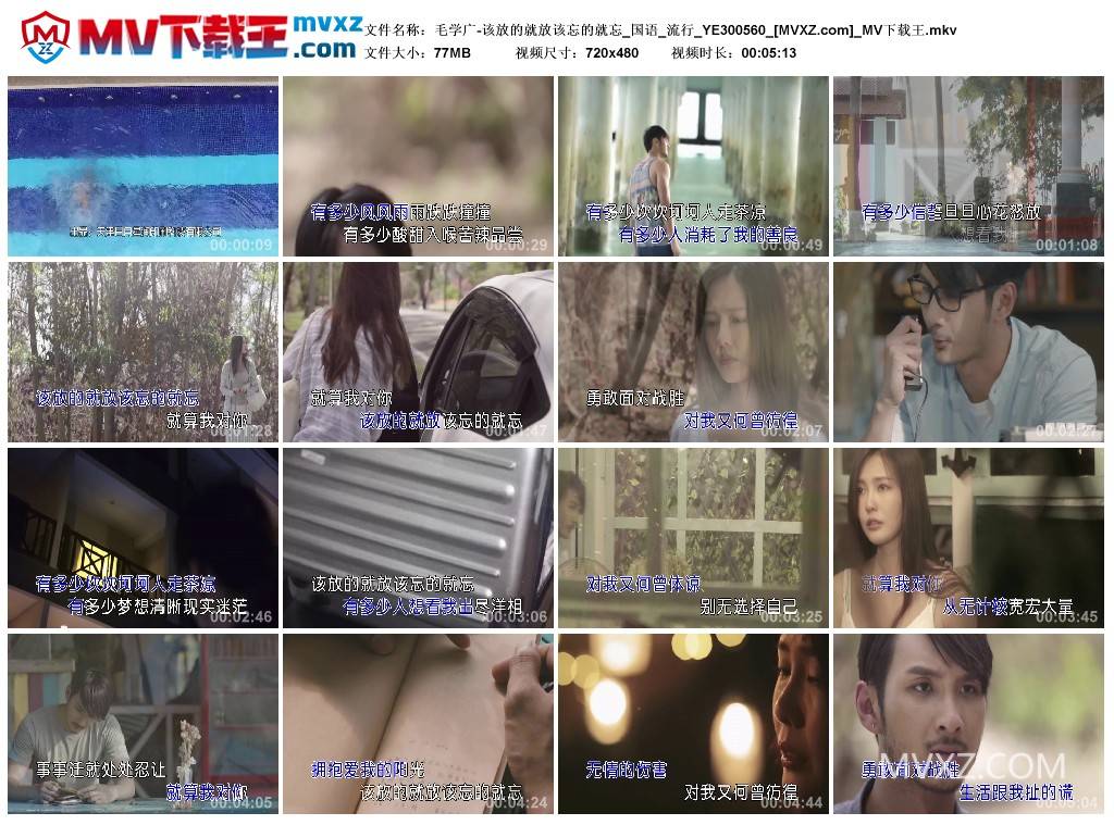 毛学广-该放的就放该忘的就忘_国语_流行_YE300560